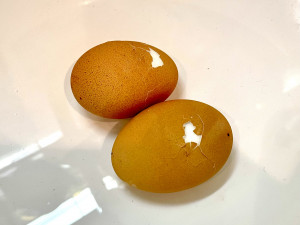 固さ加減が思いのまま★ゆで卵・完全攻略法-レシピ